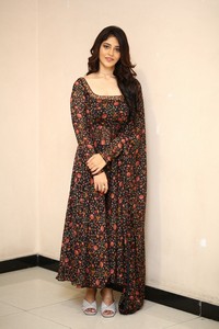 Priyanka Jawalkar at Gamanam Success Meet